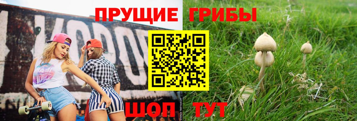 Галлюциногенные грибы GOLDEN TEACHER  Вход с VPN  Зима 